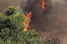 Νέα πυρκαγιά σε δασική έκταση στη Χαλκιδική 