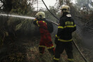 Φωτιά στην Εύβοια: Νέο μέτωπο στα Μεσοχώρια - Μήνυμα από το 112 για εκκένωση 