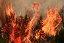 Ανεξέλεγκτη η πυρκαγιά στα Βίλια: Εκκενώνονται οικισμοί μέσω του 112- Διακοπές κυκλοφορίας