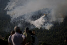 Βίλια: Καίγεται παρθένο δάσος - Φόβος για τους οικισμούς