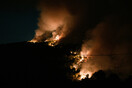 Φωτιά στα Βίλια: Timelapse βίντεο από την πορεία της πυρκαγιάς