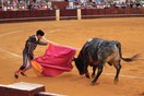 Ισπανία: Τέλος το φεστιβάλ ταυρομαχίας στην Χιχόν λόγω των ονομάτων των ταύρων
