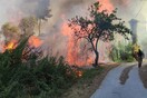Ανεξέλεγκτη φωτιά στη Ζάκυνθο κοντά σε σπίτια – Ισχυροί άνεμοι (Βίντεο)