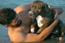 10 νέες φωτογραφίες απ' τα τέλεια ζώα των αναγνωστών μας #739