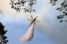 Οριοθετήθηκε η φωτιά στην Κάρυστο- Ισχυροί άνεμοι πνέουν στην περιοχή