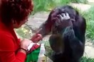 Ζωολογικός κήπος απαγόρευσε την είσοδο σε γυναίκα λόγω της «σχέσης» της με ένα χιμπατζή