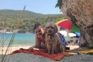 10 νέες φωτογραφίες απ' τα τέλεια ζώα των αναγνωστών μας #741