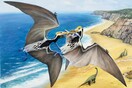 Χιλή: Τα απολιθωμένα λείψανα ενός πτερόσαυρου ανακαλύφθηκαν στην έρημο Ατακάμα 
