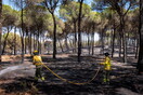 Ισπανία: Μαίνονται για πέμπτη ημέρα οι πυρκαγιές - Εκκενώνονται δύο ακόμη πόλεις στην Ανδαλουσία