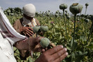 Ινδία: Κατασχέθηκαν σχεδόν τρεις τόνοι ηρωίνης από το Αφγανιστάν αξίας 2,7 δισ. δολαρίων