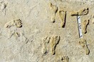 Oldest human footprints in North America found in New Mexico