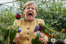 Γερμανία: Η Καγκελάριος Μέρκελ και το απρόοπτο με τους παπαγάλους	
