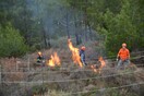 Ένα καινοτόμο πιλοτικό έργο στη Χίο έχει στόχο την άμεση πρόληψη των δασικών πυρκαγιών στην πράξη
