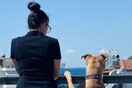 10 νέες φωτογραφίες απ' τα τέλεια ζώα των αναγνωστών μας #765