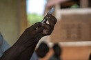 «Ιστορική στιγμή»: Ο ΠΟΥ συστήνει τη χορήγηση του πρώτου εμβολίου για την ελονοσία, σε παιδιά στην Αφρική