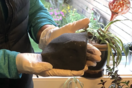 Meteorite Crashes Through Ceiling and Lands on Woman’s Bed