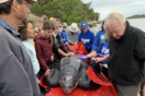Άνθρωποι βοήθησαν μία χαμένη θαλάσσια χελώνα να επιστρέψει στον Ωκεανό