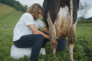 Ο Στέφανος Τσιτσιπάς σε ρόλο κτηνοτρόφου- Άρμεξε αγελάδα στις Αζόρες (Βίντεο)