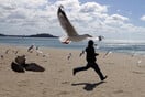 Lonely Planet: Οι καλύτεροι προορισμοί για το 2022- Το Όκλαντ, αν και σε lockdown, είναι στην κορυφή
