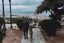 10 νέες φωτογραφίες απ' τα τέλεια ζώα των αναγνωστών μας #781