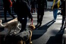 Πλεύρης: «Αποκλείω το lockdown» - Τι είπε για ανεμβολίαστους και long covid περιπτώσεις