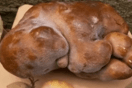 «Doug», η άσχημη πατάτα της Νέας Ζηλανδίας που μπορεί να μπει στο Γκίνες- Ζυγίζει 7,8 κιλά