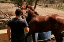 10 νέες φωτογραφίες απ' τα τέλεια ζώα των αναγνωστών μας #784