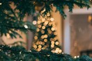 Φωταγωγήθηκε το πρώτο χριστουγεννιάτικο δέντρο στην Ελλάδα - Στον Ταξιάρχη Χαλκιδικής
