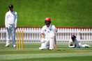 ‘We saw everyone drop’: bee swarm stops play in New Zealand cricket match