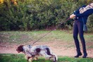 10 νέες φωτογραφίες απ' τα τέλεια ζώα των αναγνωστών μας #788