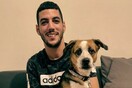 10 νέες φωτογραφίες απ' τα τέλεια ζώα των αναγνωστών μας #789