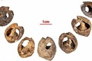 Ανακαλύφθηκε το παλιότερο κολιέ του κόσμου ένα κόσμημα 150.000 ετών