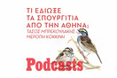 ΠΕΜΠΤΗ 25/11 - ΕΧΕΙ ΠΡΟΓΡΑΜΑΤΙΣΤΕΙ-ΗΧΗΤΙΚΟ ΣΕ ΛΙΓΟ-Μα γιατί εξαφανίστηκαν τα σπουργίτια από την Αθήνα;