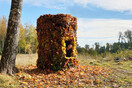 «Leaf Hut»: Αρχιτέκτονες «ύμνησαν» το φθινόπωρο με μια καλύβα από πεσμένα φύλλα