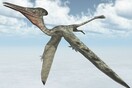 Πώς να πετάξεις με έναν πτερόσαυρο