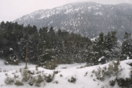 Καιρός: Έπεσαν τα πρώτα χιόνια στον Παρνασσό - Εντυπωσιακό βίντεο από το λευκό τοπίο