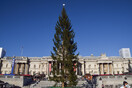 Οι Λονδρέζοι κατά του «αρρωστιάρικου» χριστουγεννιάτικου δέντρου από τη Νορβηγία - «Κόλλησε κορωνοϊό»