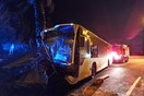 Τροχαίο στην παραλιακή: Λεωφορείο έπεσε πάνω σε φοίνικες της νησίδας