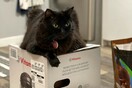 They bought a blender. Three weeks later, their cats continue to hold it hostage.