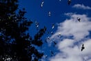Γενικά αίθριος ο καιρός σήμερα- Άνοδος της θερμοκρασίας