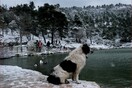 Κακοκαιρία «Ελπίς»: Ψυχρή εισβολή σε όλη τη χώρα - Έως -14 αύριο ο υδράργυρος