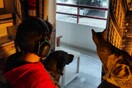 10 νέες φωτογραφίες απ' τα τέλεια ζώα των αναγνωστών μας #820