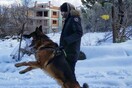 10 νέες φωτογραφίες απ' τα τέλεια ζώα των αναγνωστών μας #821