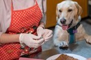 Ζαχαροπλαστείο στη Θεσσαλονίκη φτιάχνει cupcakes και τούρτες γενεθλίων για σκύλους