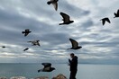 Κρούσματα