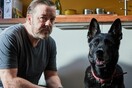 «After Life»: Οι ιδιοκτήτες του Νο.1 σκύλου στο Netflix μιλούν για την διάσημη «Μπράντι»