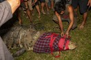 Ινδονησία: Kροκόδειλος ζούσε εδώ και πέντε χρόνια με λάστιχο γύρω από το λαιμό του - Μέχρι χθες