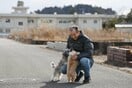 Last Fukushima town to reopen welcomes back its first residents