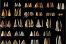 Η ανακάλυψη του αρχαίου βρεφικού δοντιού τοποθετεί τους ανθρώπους στην Ευρώπη 10.000 χρόνια νωρίτερα