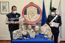 Κατασχέθηκαν πολύτιμα χιλιάδες έργα τέχνης και αρχαία νομίσματα- Αστυνομική επιχείρηση σε 28 χώρες